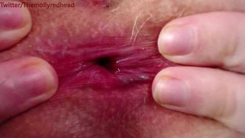 molly_redhead free recording from 