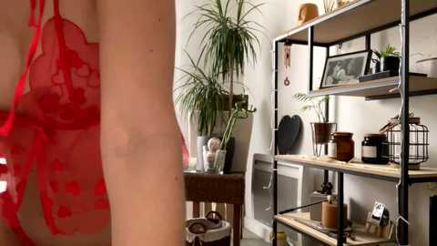 saymym free recording from 2025-03-28 09:07:00