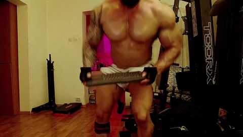 adonis_msc free recording from 2025-03-30 02:59:00