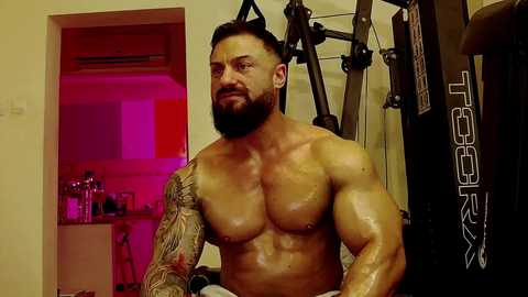 adonis_msc free recording from 2025-03-30 04:16:00