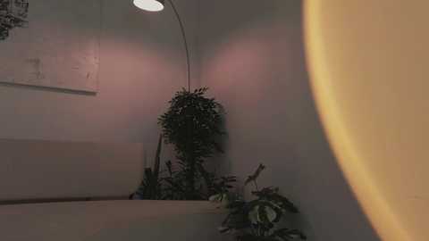 theaura free recording from 2025-03-30 16:37:00