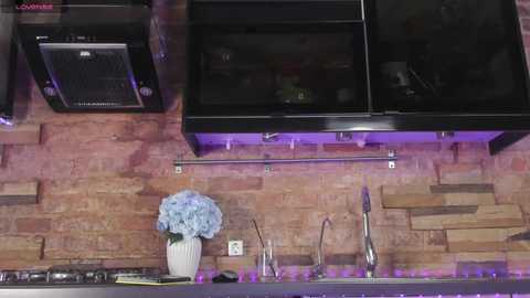 mintlackey free recording from 