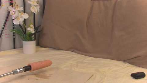 olsenspring free recording from 2025-03-31 16:45:00