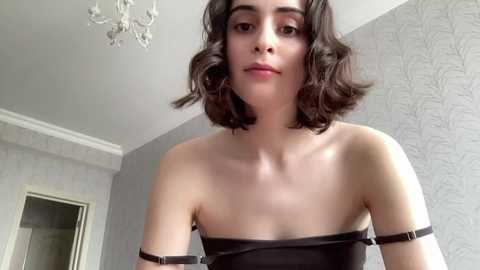 wonderland_stia free recording from 