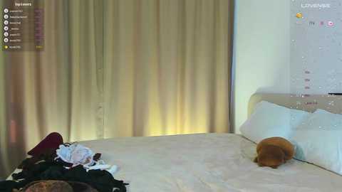 zhenzhuxio free recording from 2025-03-31 11:54:00