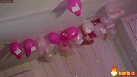 _taylor_swift free recording from 2025-04-01 08:18:00