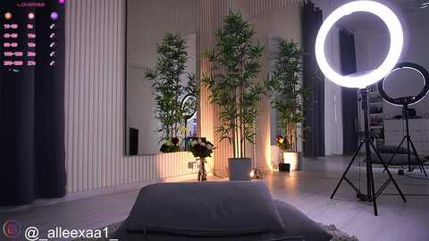 abbela_white free recording from 2025-04-01 10:28:00