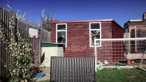 eatmypie69 free recording from 2025-04-01 14:26:00