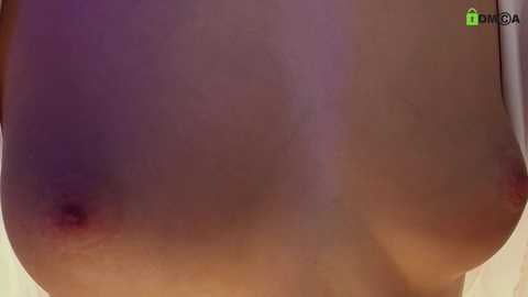 hollyextra free recording from 2025-04-01 01:24:00