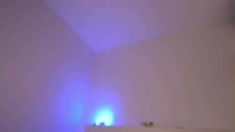 hunytea free recording from 2025-04-01 07:22:00