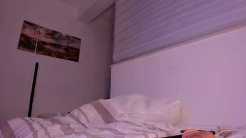 itsbellax free recording from 2025-04-01 19:54:00