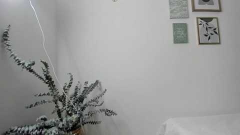 ohanna_ free recording from 2025-04-01 01:06:00