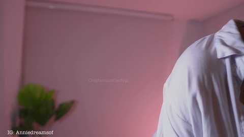 annie_dreams free recording from 2025-04-02 00:57:00