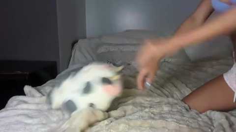 destinyloves1 free recording from 