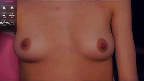 shelleybuss free recording from 2025-04-02 10:14:00