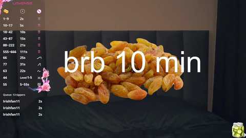 vivid_girls free recording from 