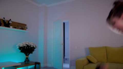 girl_next_door19 free recording from 2025-04-03 08:20:00