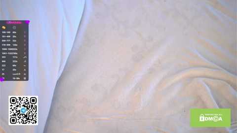 islandladies free recording from 2025-04-03 10:33:00