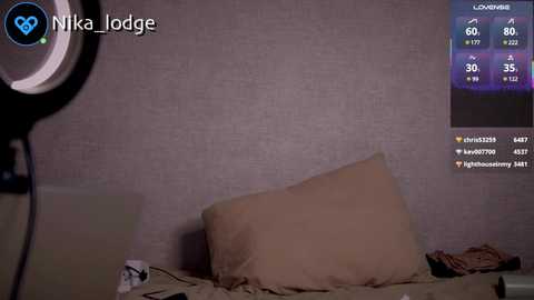 nika_lodge free recording from 2025-04-03 16:13:00