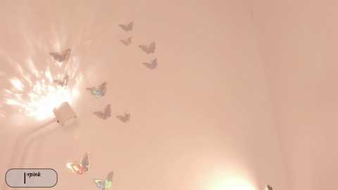 power_ranger_pink free recording from 2025-04-03 13:34:00