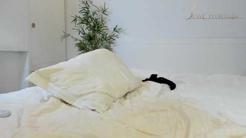 sexycreolyta4u free recording from 