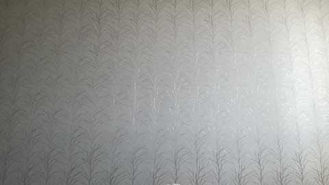 wonderland_stia free recording from 2025-04-03 09:10:00