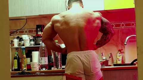 adonis_msc free recording from 2025-04-04 04:05:00