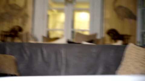 avalonnfoxx free recording from 2025-04-04 10:20:00