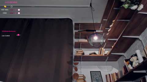 riskyproject free recording from 2025-04-04 14:38:00