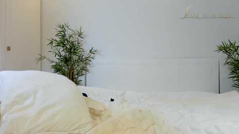 sexycreolyta4u free recording from 