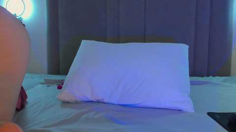 judymiles free recording from 2025-04-05 07:56:00