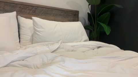 realjadebri free recording from 2025-04-05 04:35:00