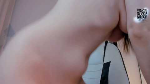 _mayflower_ free recording from 2025-04-06 09:59:00