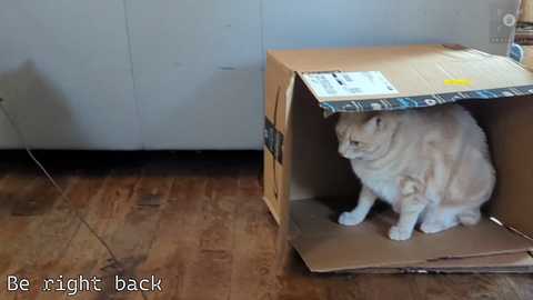 rndmzd free recording from 2025-04-07 13:10:00