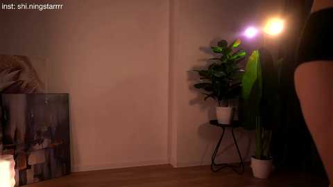 shiningstarrr free recording from 2025-04-07 22:50:00