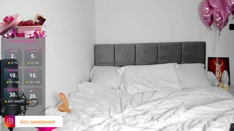 why_not_wmw free recording from 