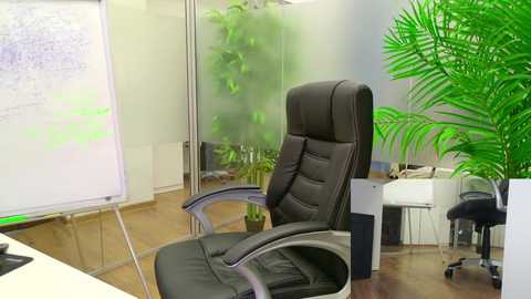 babesgowild free recording from 2025-04-08 07:37:00