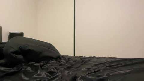 imrubyy free recording from 2025-04-08 05:29:00