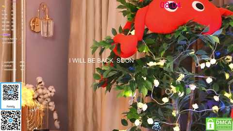 lissa_meooow free recording from 