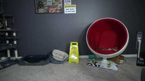 sydaffect free recording from 2025-04-08 04:33:00