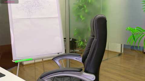 babesgowild free recording from 2025-04-09 07:29:00