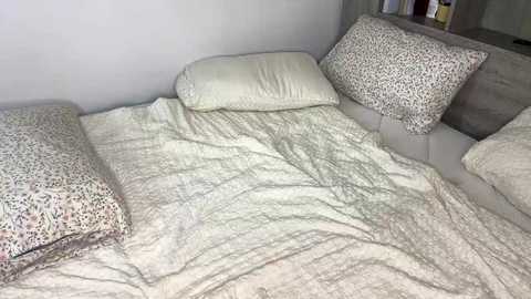 laniixx free recording from 2025-04-09 04:37:00