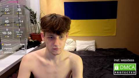 wesides free recording from 