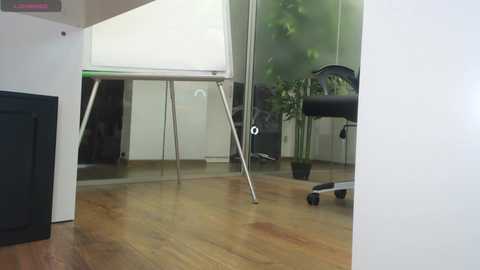 babesgowild free recording from 2025-04-10 07:08:00