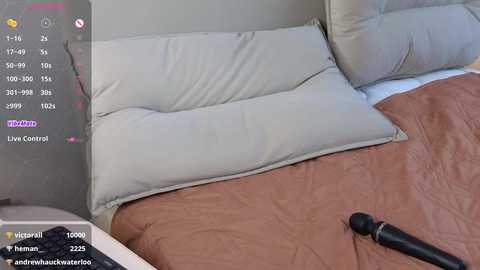 brightrays__ free recording from 