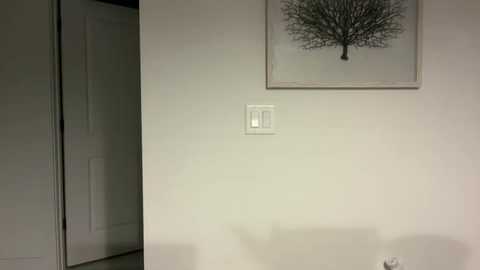 camiliakxoxo free recording from 2025-04-10 05:35:00