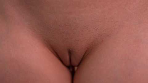 dovia free recording from 