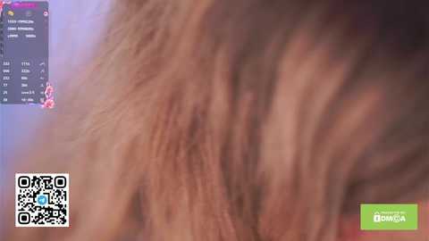 islandladies free recording from 2025-04-10 09:06:00