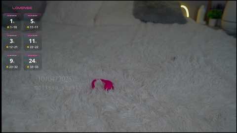 melissa_shawty free recording from 2025-04-10 10:21:00