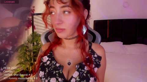 nebamazee free recording from 